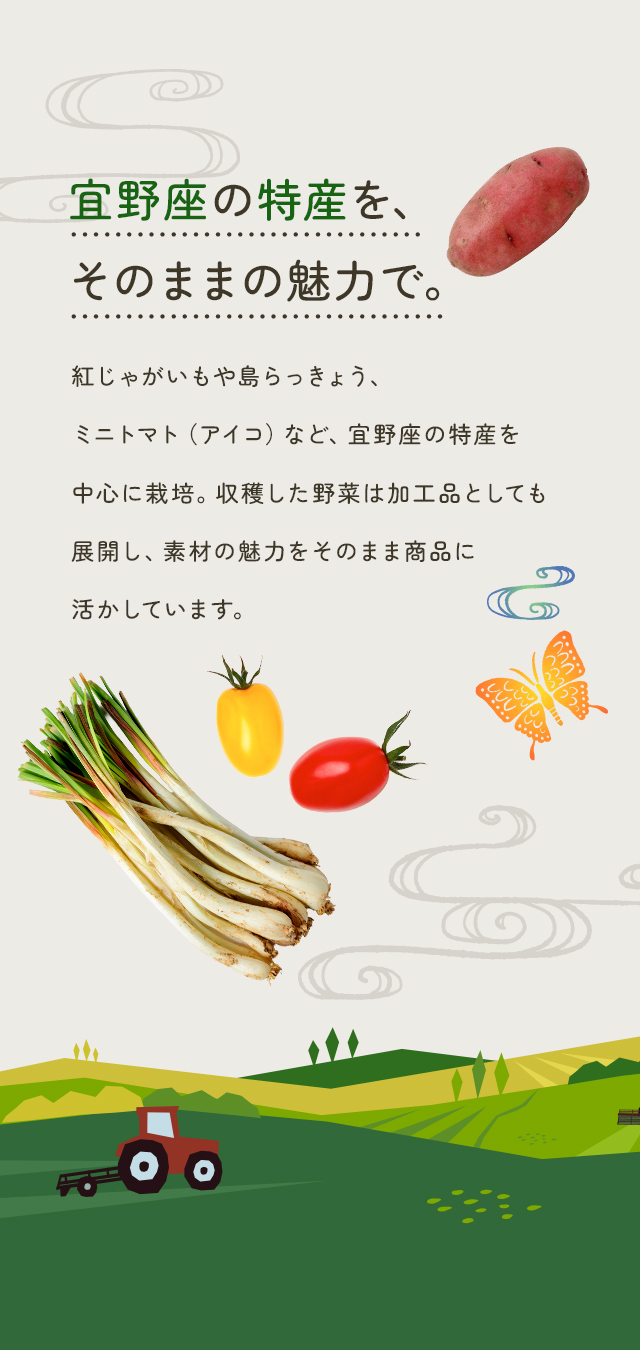 sp_secondmain